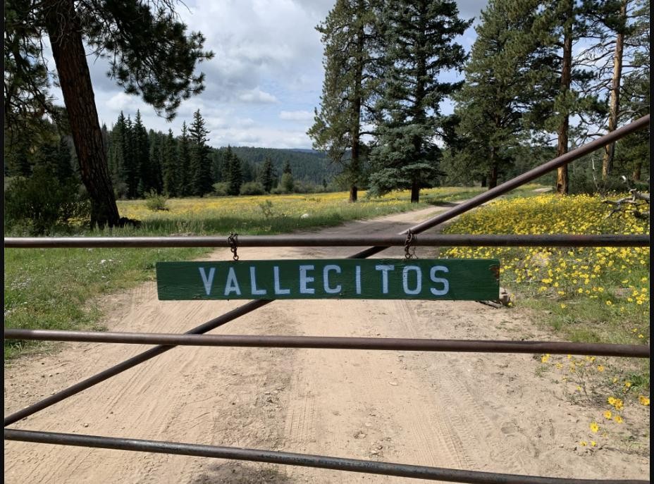 A weathered wooden sign reading Vallecitos hanging from a metal gate, with a dirt road and yellow wildflowers beyond