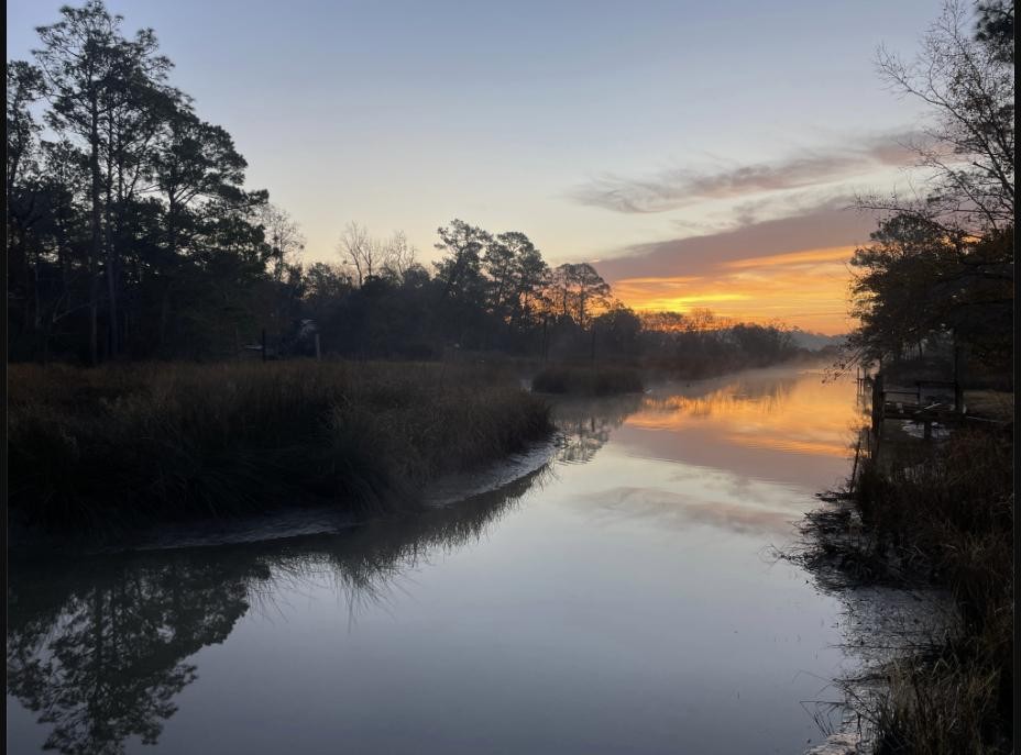 Sunrise over a misty bayou river lined with trees