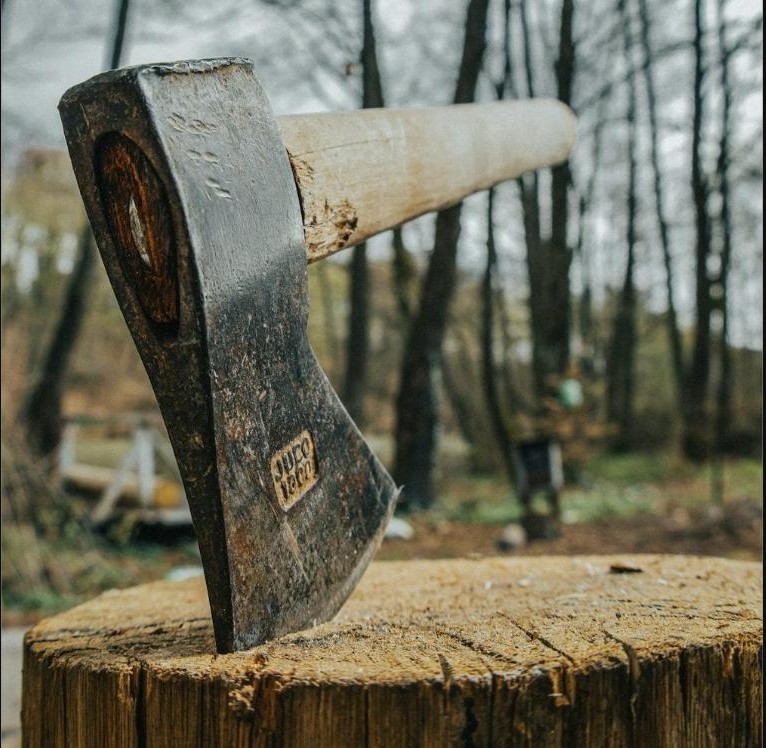 An old axe stuck in a tree stump in the woods